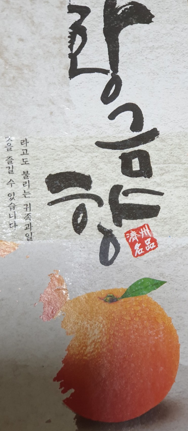  오늘의 간식