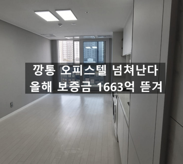 〔슬기로운창업스크랩〕'깡통 오피스텔'도 넘쳐난다. 올해 보증금 1663억 뜯겨