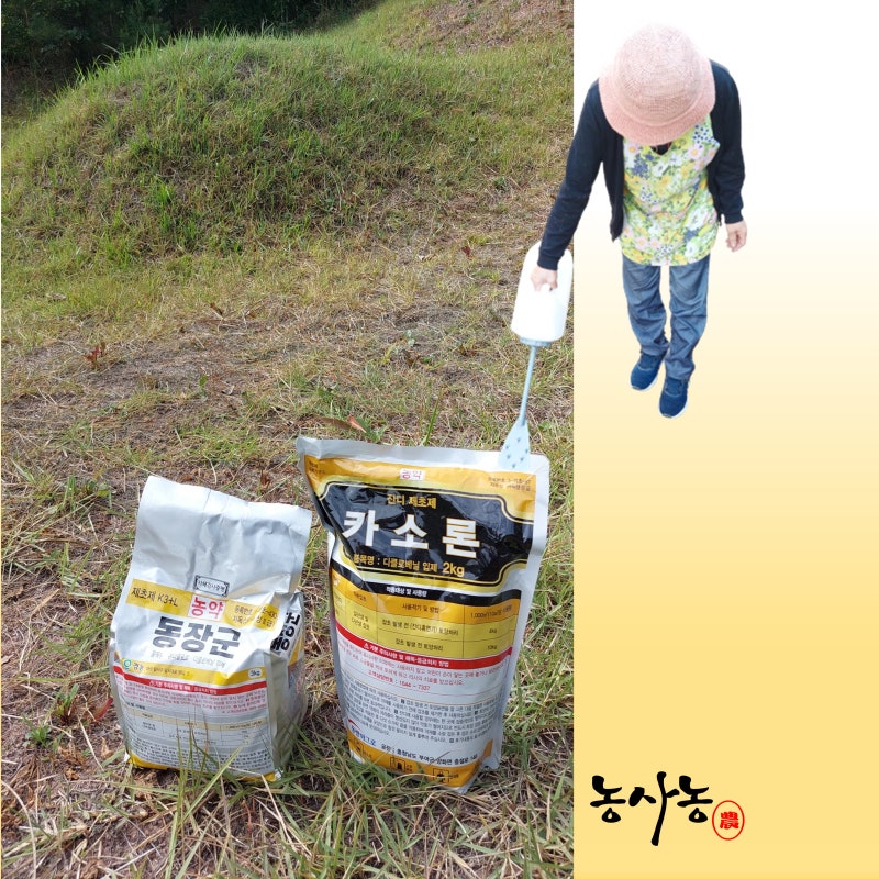 산소 정원 잡초제거 풀제거 잔디 제초제 종류 잔디밭 관리