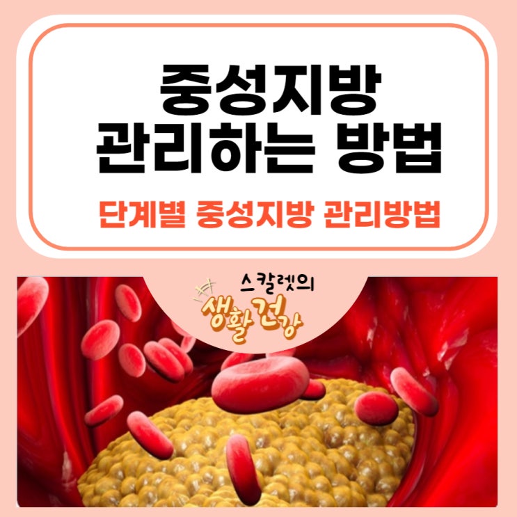  중성지방 관리하는 방법