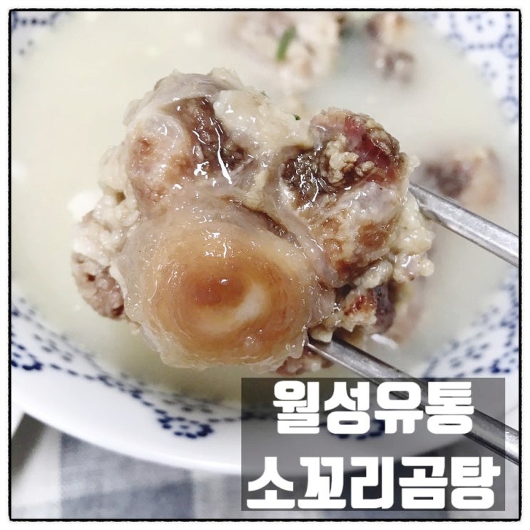  월성유통 소꼬리곰탕 맛있고 가성비 좋은 간편조리 곰탕추천