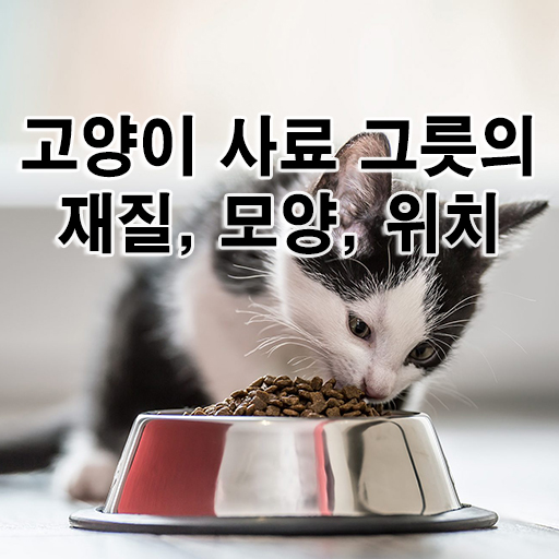 고양이 사료 그릇의 재질, 모양, 위치