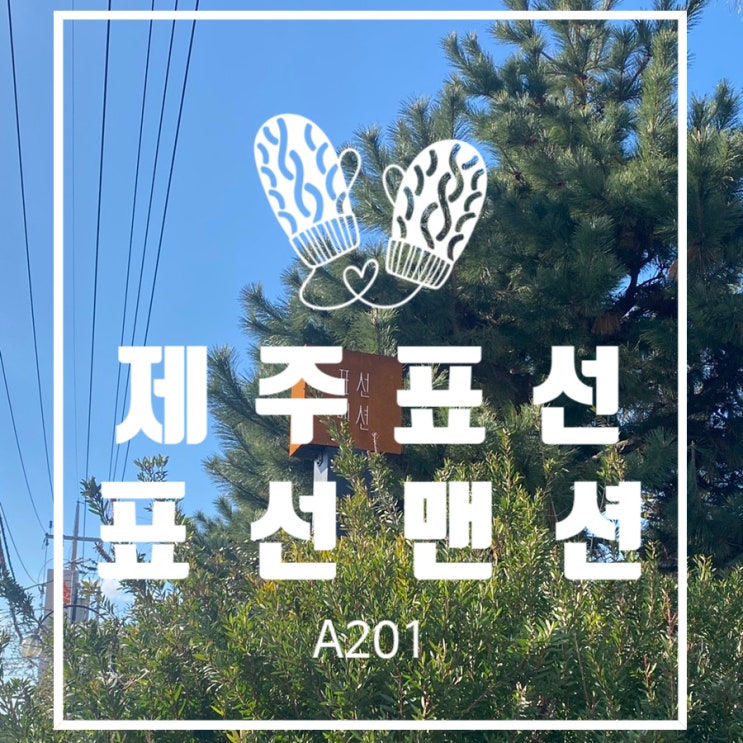  [제주도] 서귀포시 표선면 / 따스한 햇살이 비추는 공간, 감성 에어비앤비 / '표선맨션' A201 내돈내산 후기