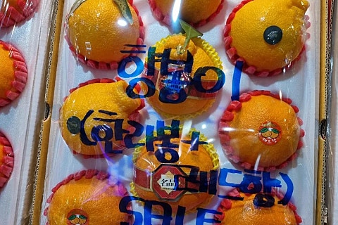 오늘청과2 이미지