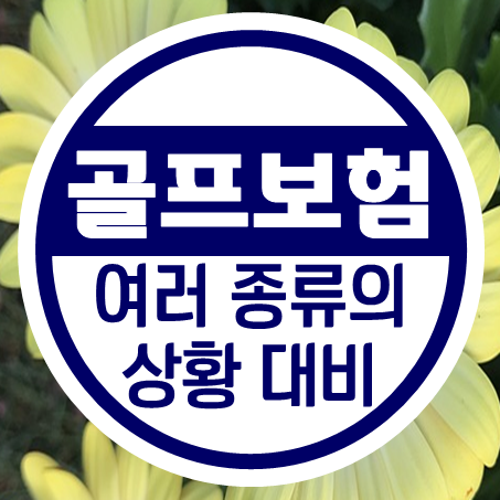  홀인원보험추천 골프 중 발생할 수 있는 여러 상황을 대비하여!