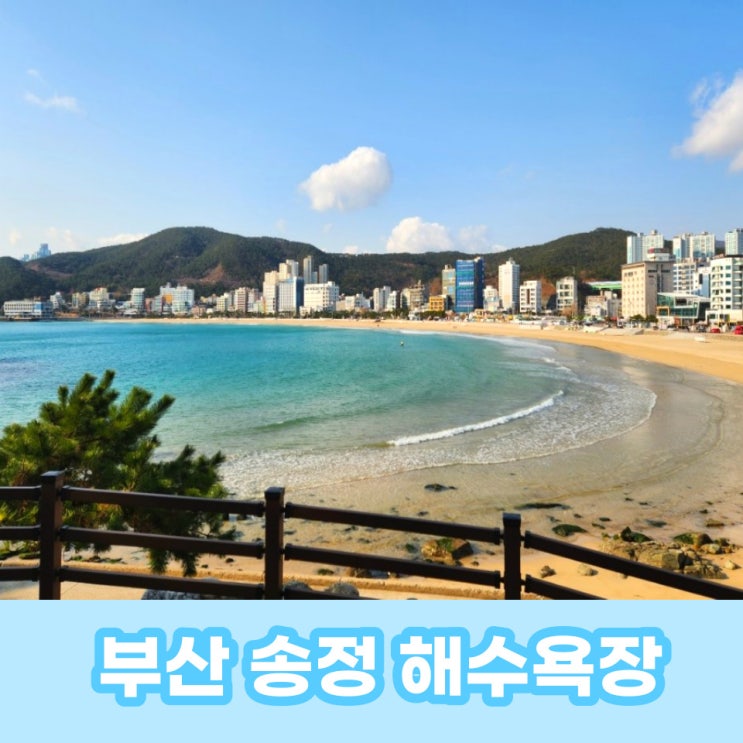  송정해수욕장 주차정보, 죽도공원, 해변 열차까지 부산 여행지로 추천하는 이유