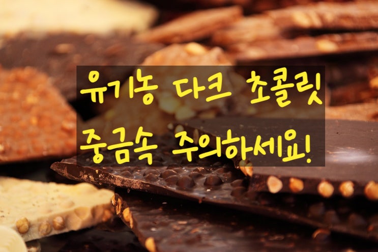  다크 초콜렛 중금속 검출 - 카드뮴과 납 (컨슈머 랩 결과도 비슷)