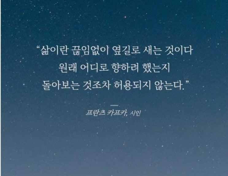  부거사이 [부동산 뉴스와 블로그] 12월 27일(화)
