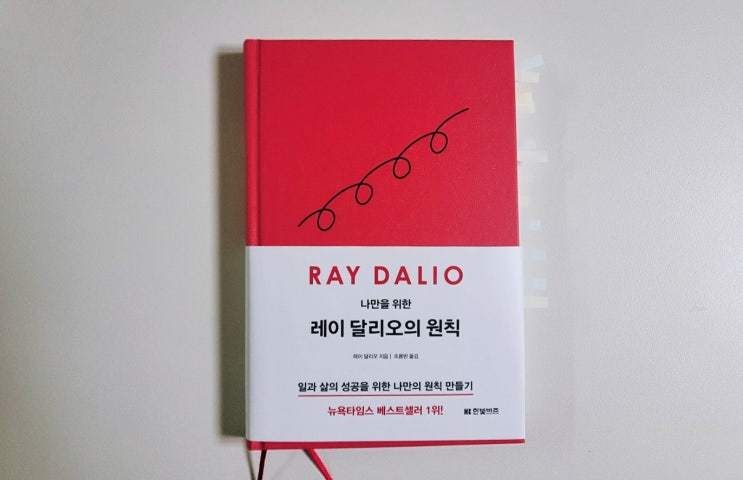  [나만을 위한 레이 달리오의 원칙] 새해 계획에 넣을 일과 삶의 조화 (ft. 생각정리스킬?)