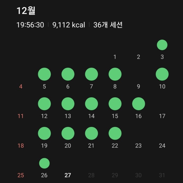  [수영] 12월의 수영기록