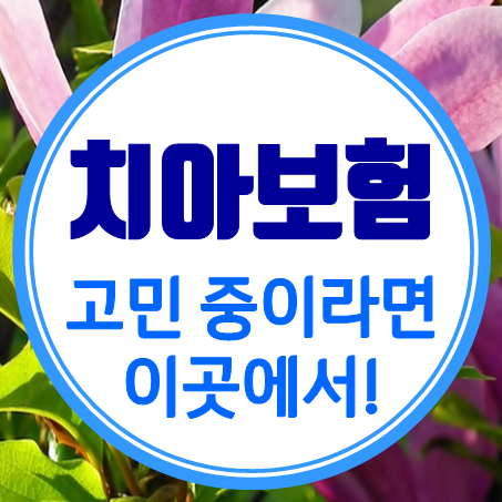  청소년치아보험 여전히 고민 중이라면 이곳에서 살펴보세요!