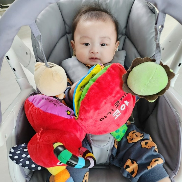  아기 헝겊책 감각 자극과 오감발달에 좋은 '안녕 내 친구 코야'
