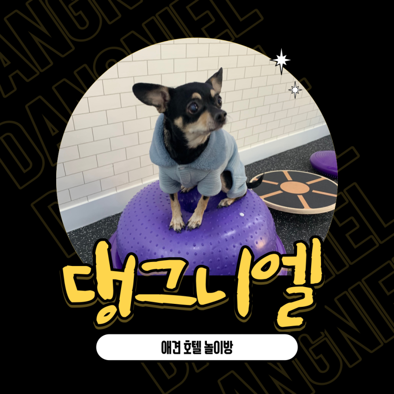 사진 3