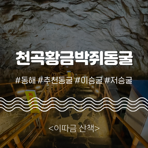  “박쥐가 있어서 박쥐동굴” 강원도 동해 <황금박쥐 천곡동굴> 산책 (소요시간, 주차비, 이승굴, 저승굴)