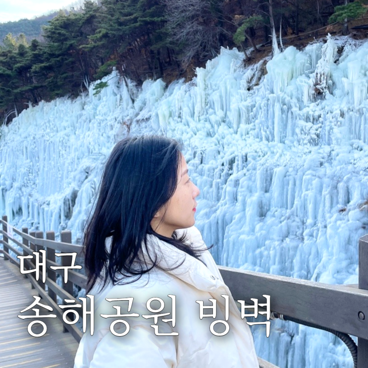  송해공원 빙벽 대구 겨울여행으로 좋은 겨울왕국 실사판