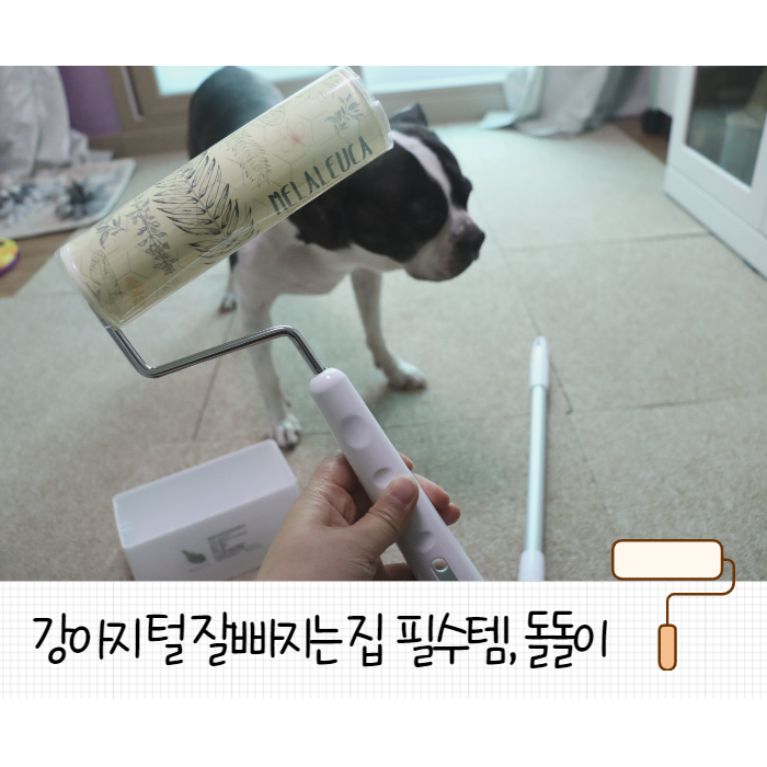  강아지 털제거 돌돌이 홀린듯 산 멜라루카 크리너 솔직후기