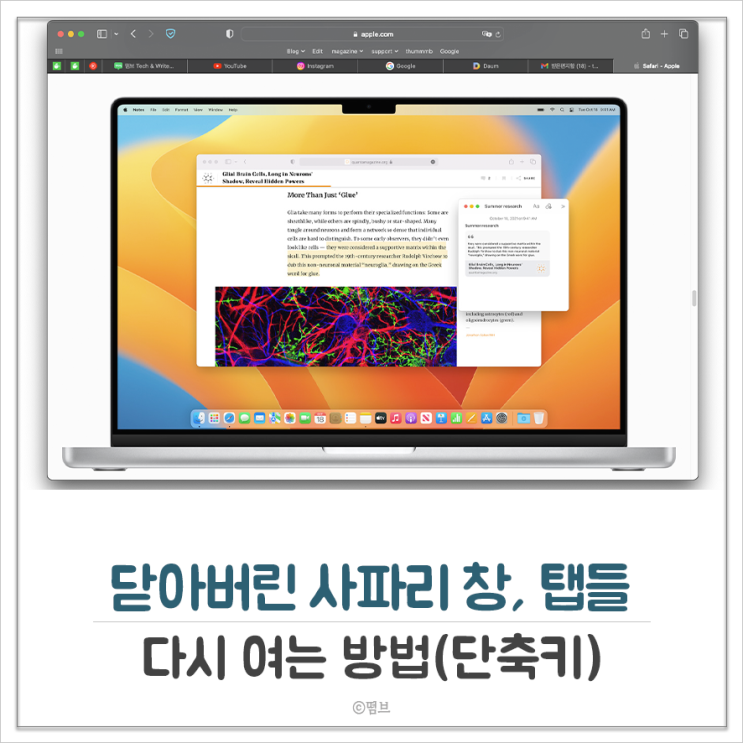  닫아버린 사파리 창, 탭들 다시 여는 방법