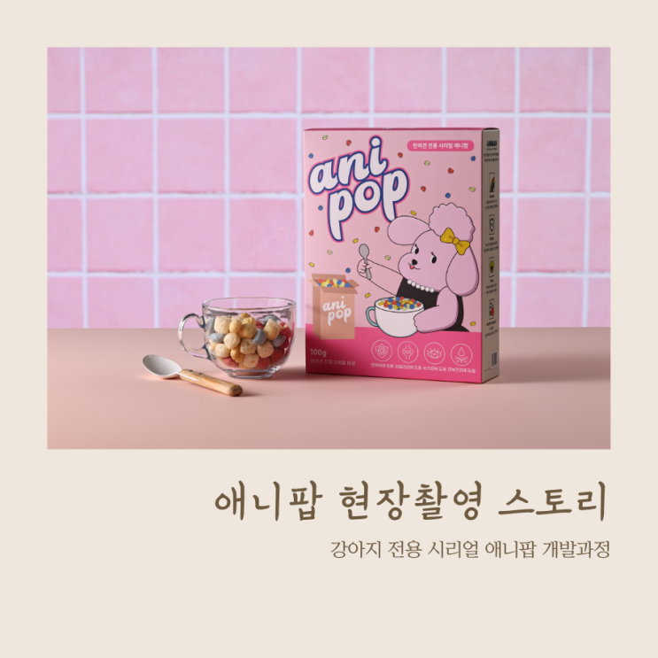  강아지 시리얼 애니팝 현장 촬영 스토리