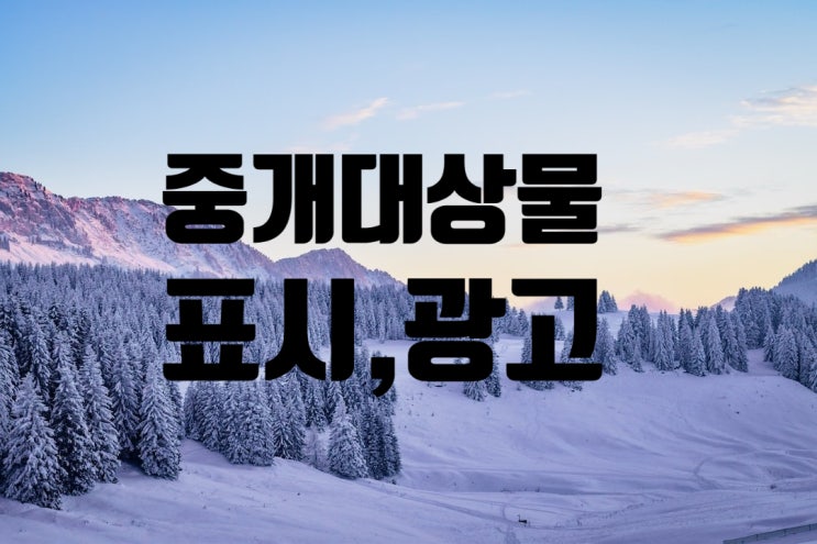 중개사법/중개업무/중개대상물 표시,광고