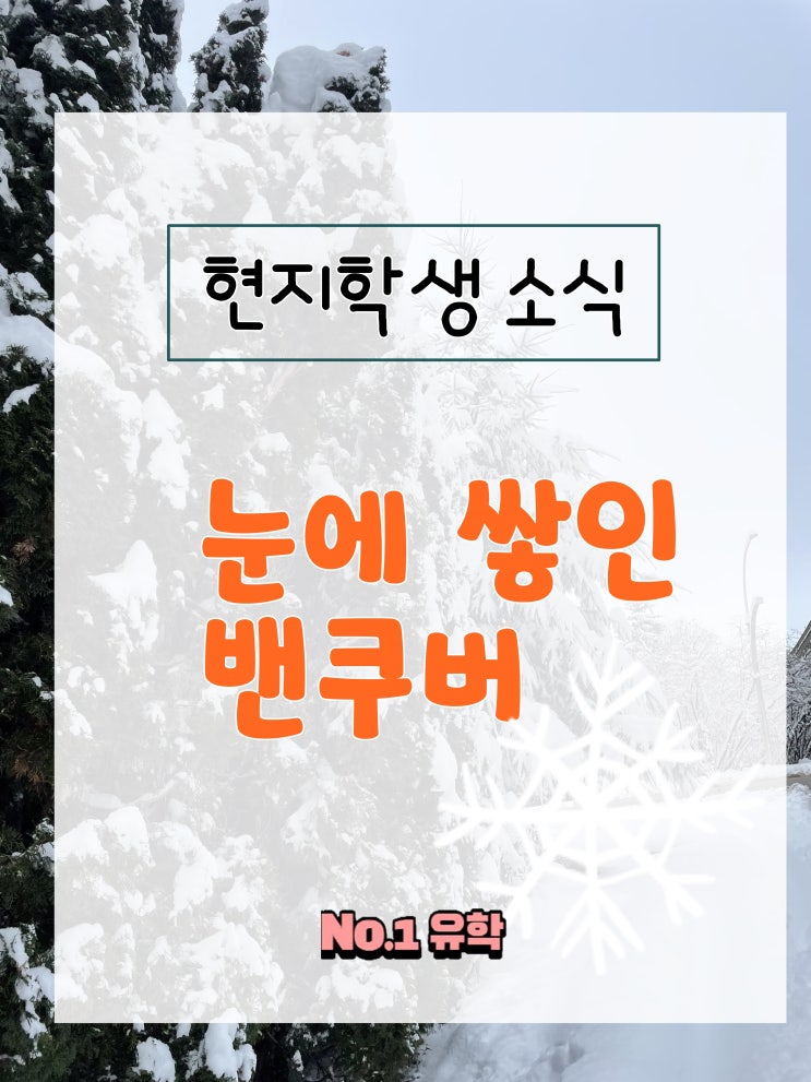  청주유학원 밴쿠버 현지학생 소식, 밴쿠버가 눈에 쌓였어요!