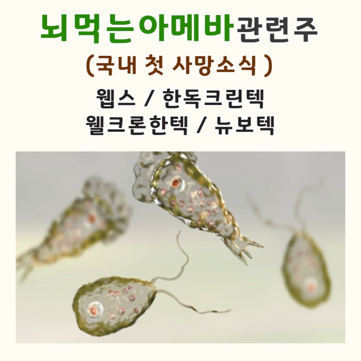  뇌먹는아메바 관련주 (아메바 국내 첫 사망소식 관련 수돗물 관련주 ) 웹스, 한독크린텍, 웰크론한텍, 뉴보텍 등