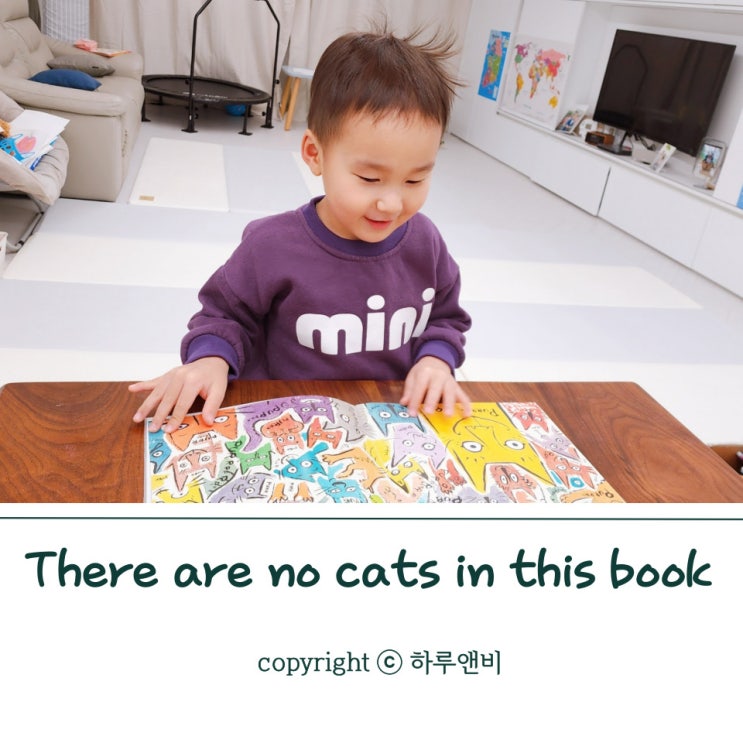  효린파파가 추천한 팝업북 There are no cats in this book