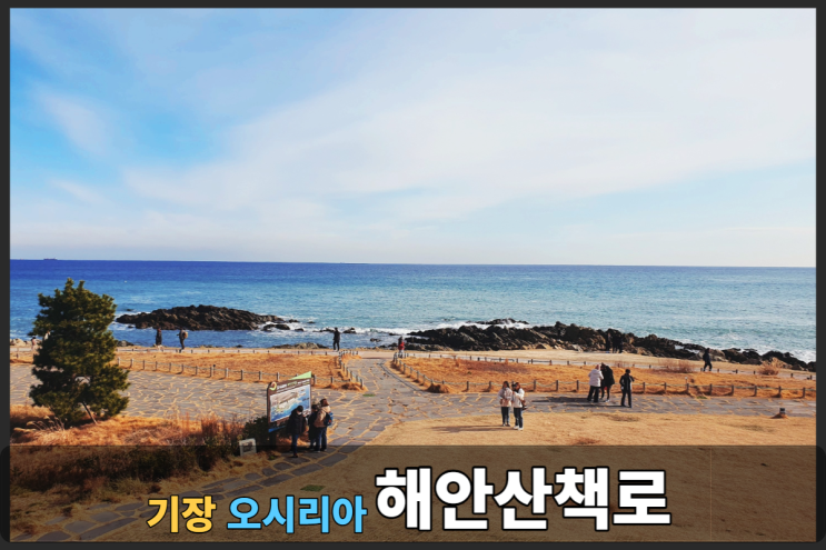  기장 힐튼호텔 앞 오시리아 해안산책로 추천+산에우스타키오 전망까지~