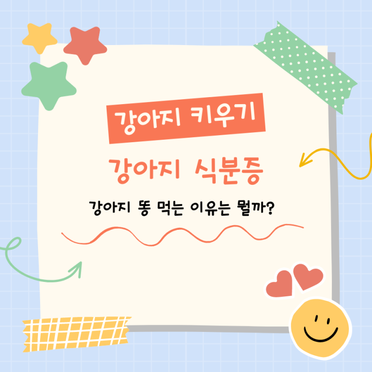  [강아지정보] 강아지 식분증 (coprophagia) / 강아지 똥 먹는 이유