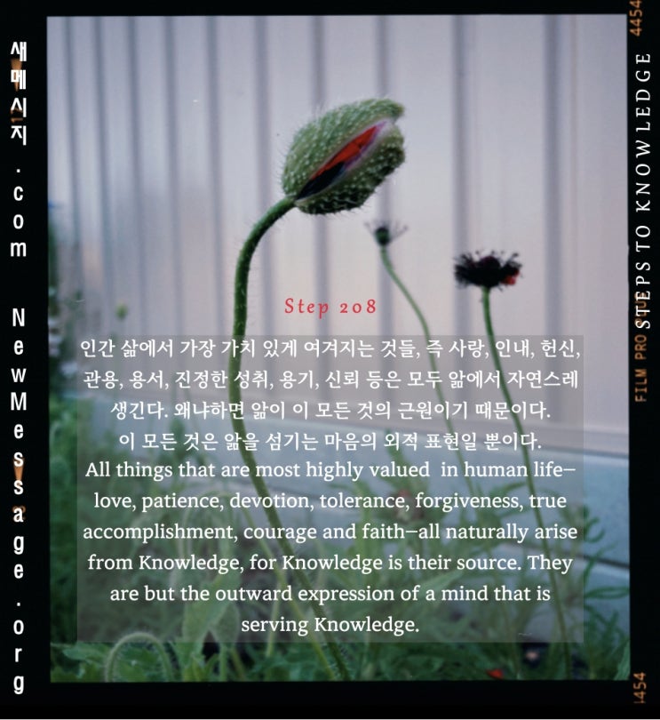 제 208 계단: 내가 정말 가치 있게 여기는 것은 모두 앎에서 표현될 것이다All things I truly value will be expressed from Knowledge