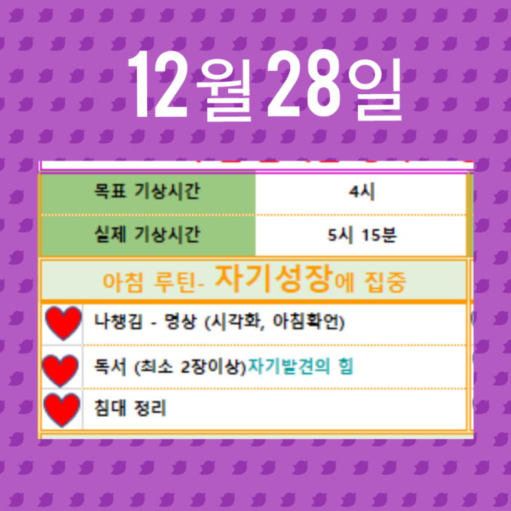  12월 28일 아침루틴