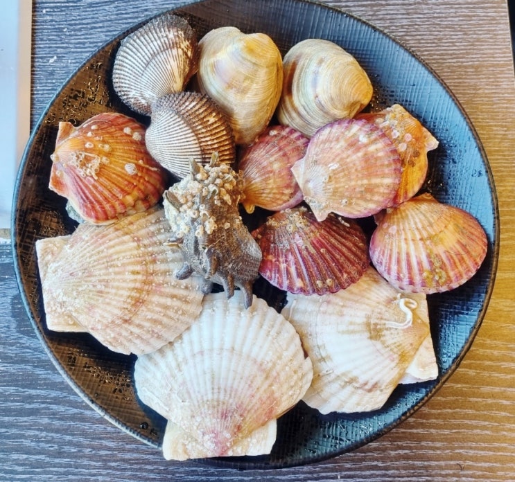  조개창고 - 울산 조개구이 무한리필 동구 일산동 대왕암공원 맛집