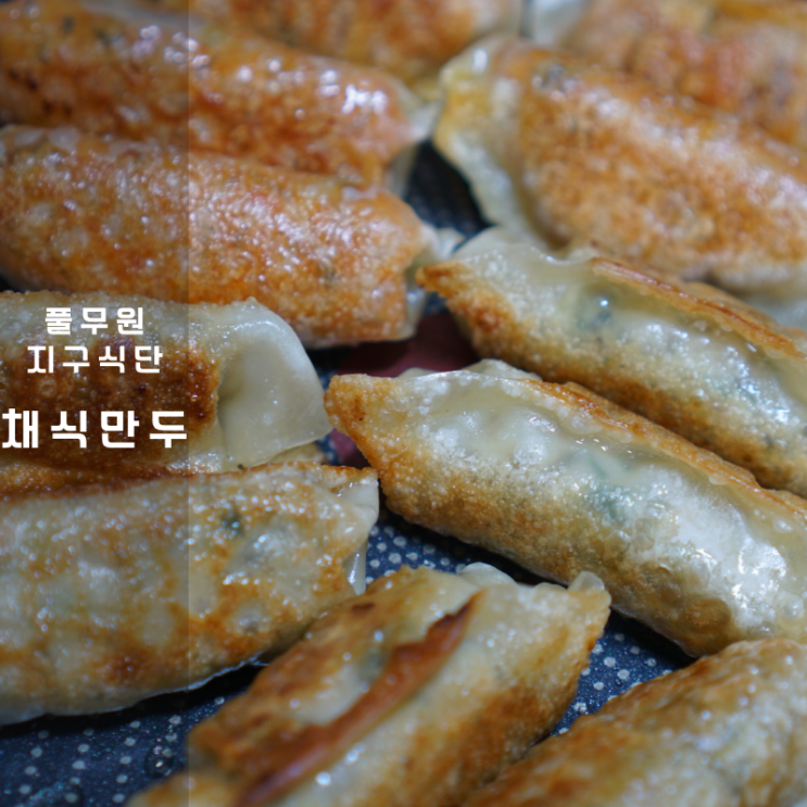  풀무원 식물성 지구식단 대체육 채식 김치 만두