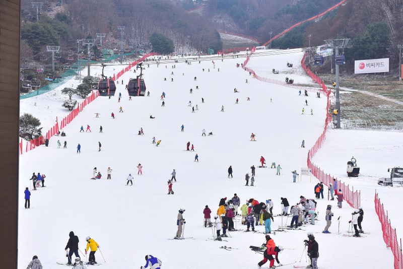 비발디파크 어린이 스키 강습 예약 정보 및 비용을 확인하세요
