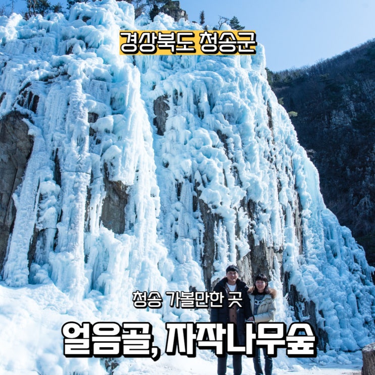  경상북도 청송 가볼 만한 곳, 청송 얼음골 & 자작나무 숲(+청송 노포 맛집)
