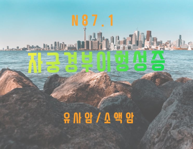  N87.1 중등도 자궁경부이형성상피병변(Moderate cervical dysplasia ) 유사암/소액암 해당?