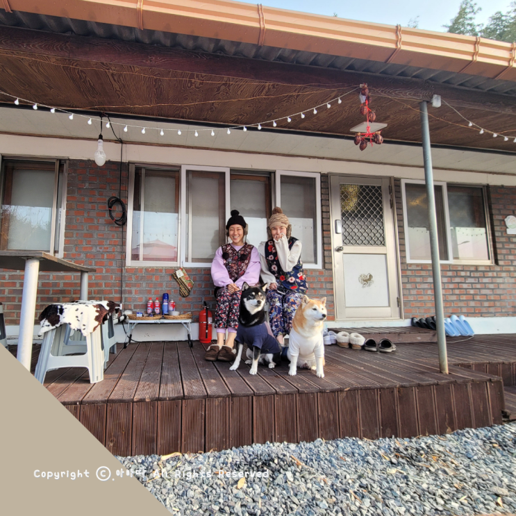  전라남도 나주 애견동반 숙소 촌캉스 즐기는 더마실