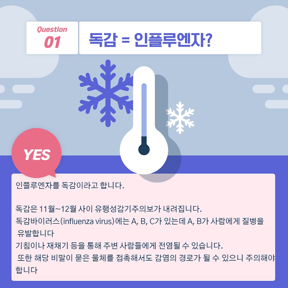 독감 검사 — 본문 그림