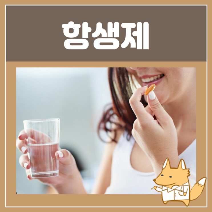  항생제 종류 페니실린계 퀴놀론계 세파계 항생제(세팔로스포린계) 항생제 부작용