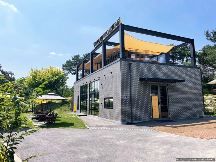  경기도 일산 과수원 카페 옐로우마운틴 내돈내산
