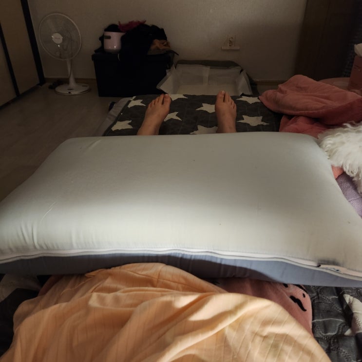  약사가만든 혈액순환에 좋은 더꾸기 지압마사지기