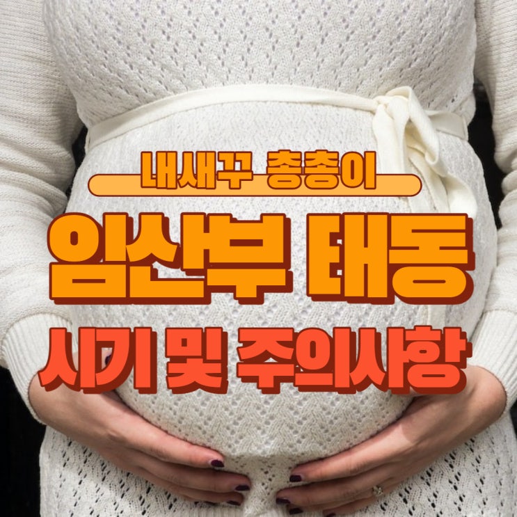  임산부 태동의 시기? 규칙적인 태동 주의사항 활발한 느낌 막달 검사