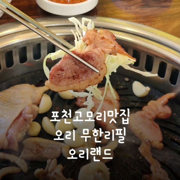  포천고모리맛집 오리고기 무한리필 오리랜드