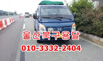 울산북구용달. 울산북구용달.