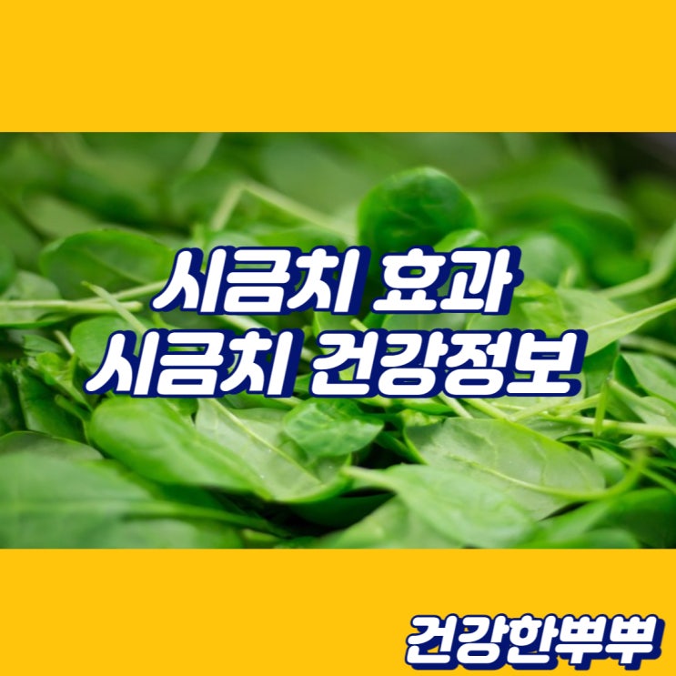  시금치효과 눈건강시금치 시금치부작용