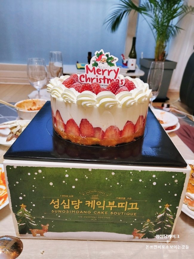 크리스마스 먹방/ 성심당 케이크 해산물 파티