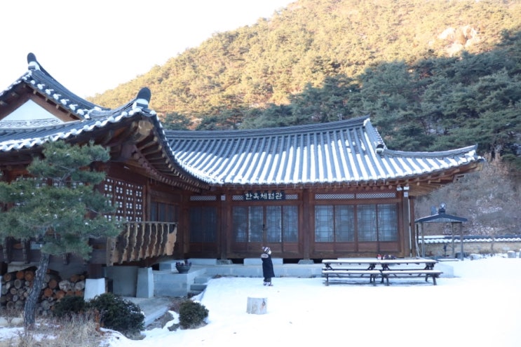  괴산 성불산자연휴양림 휴양관에서 보낸 주말여행기 /선착순예약, 할인팁