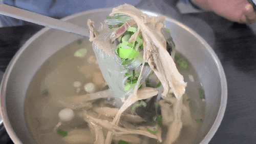 서귀포 아침식사 가능한 뜨끈한 해장 보양식 : 서귀포닭해장국