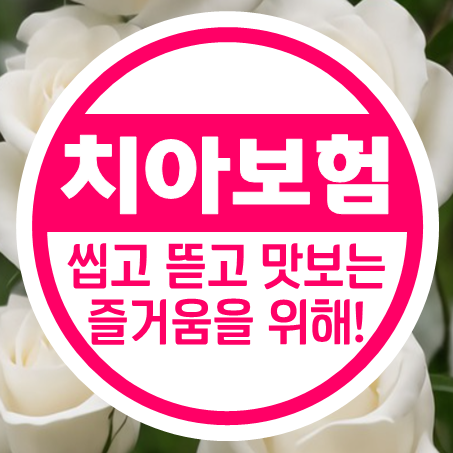  노인치아보험 씹고 뜯고 맛보는 즐거움을 위해!
