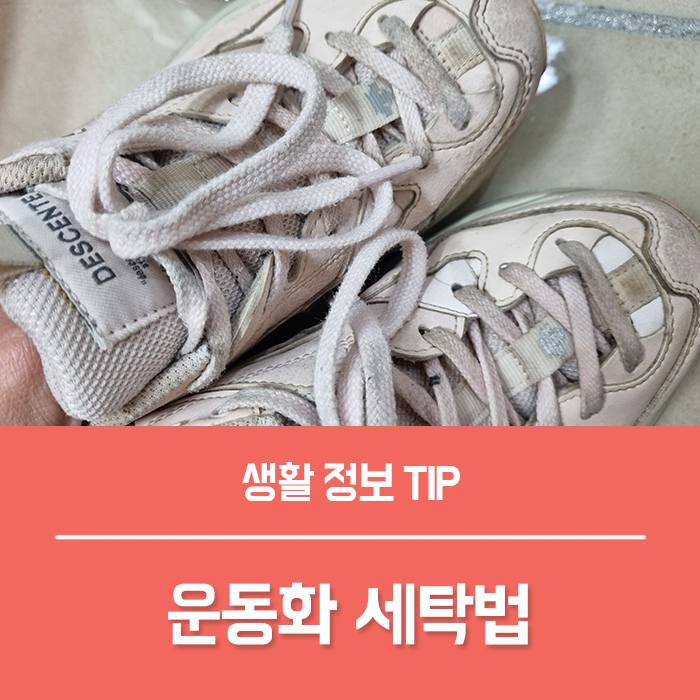  운동화 세탁 신발 빨래 과탄산소다 사용법, 집에서 간단하게 빠는법