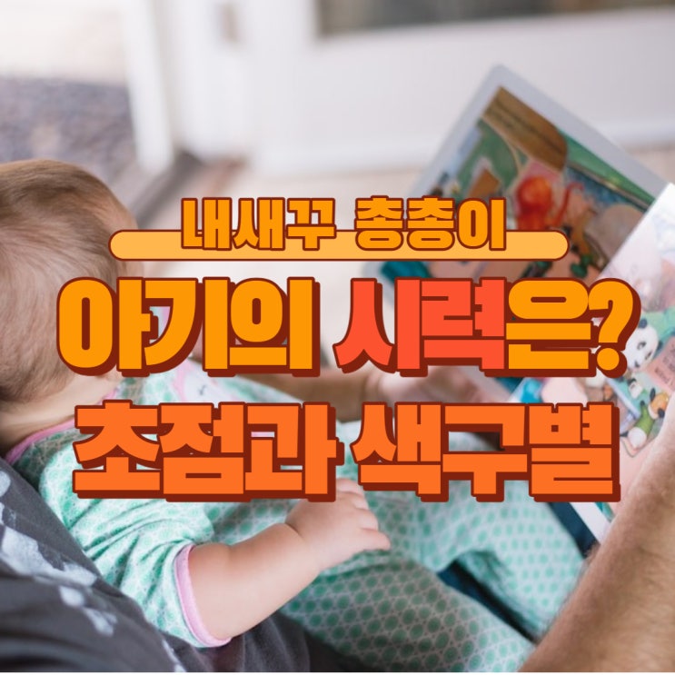  아기는 어디까지 보일까? 신생아 영유아의 시력과 초점, 색상 색깔